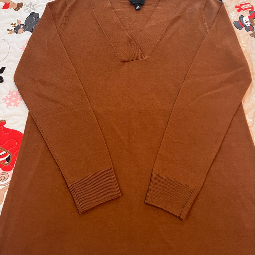 Talbots Rust  V-Neck Sweater